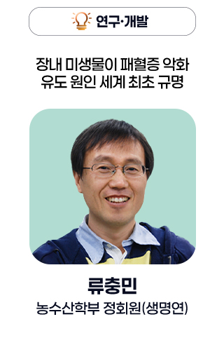 연구·개발 - 장내 미생물이 패혈증 악화 유도 원인 세계 최초 규명 / 류충민 농수산학부 정회원(생명연)