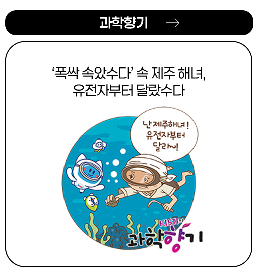 과학향기 - ‘폭싹 속았수다’ 속 제주 해녀, 유전자부터 달랐수다