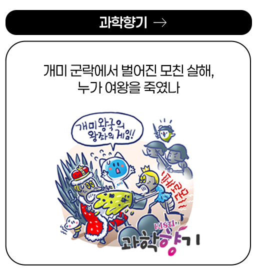 과학향기 - 개미 군락에서 벌어진 모친 살해, 누가 여왕을 죽였나